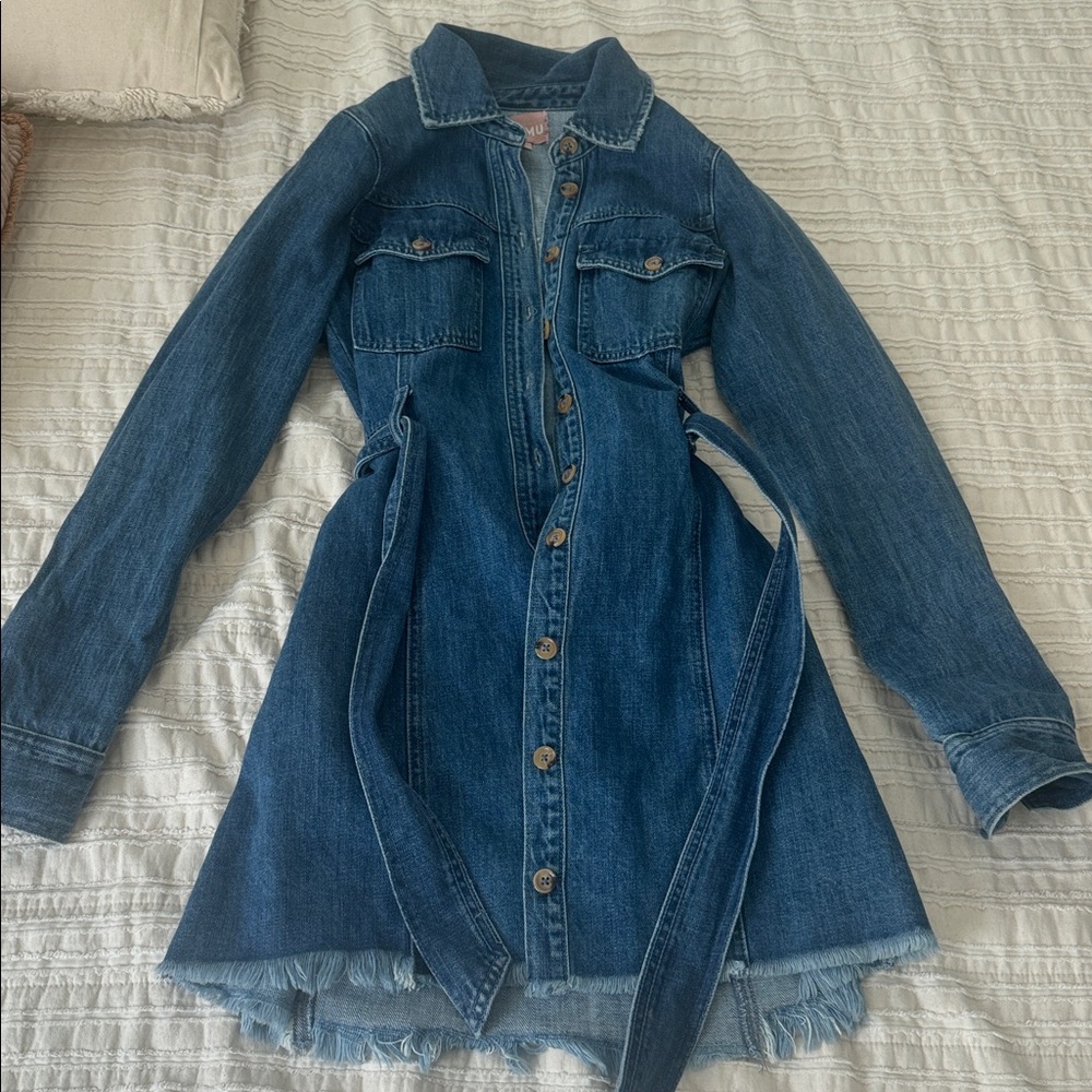 Show me your mumu denim dress